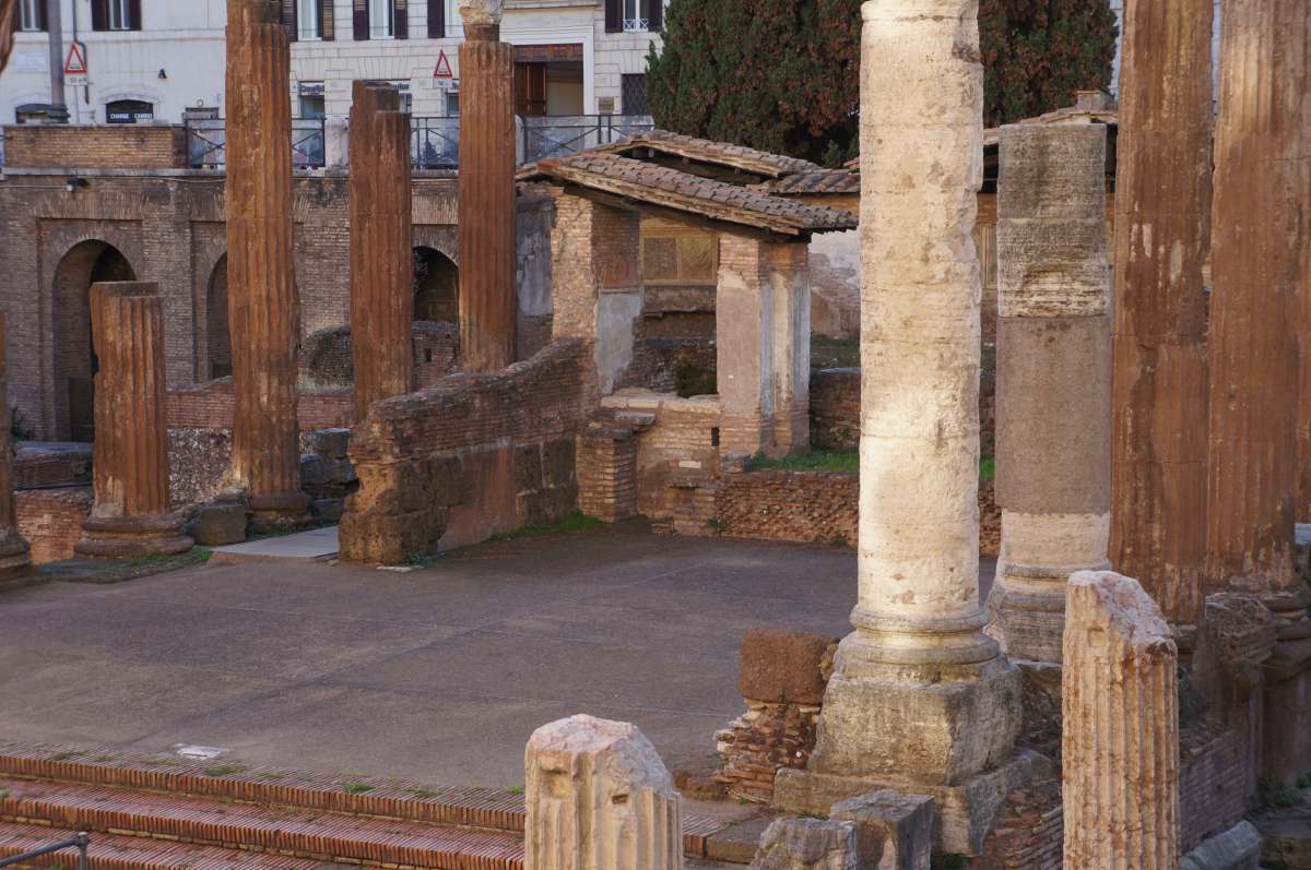 Abb. 447-NicoladiCalcario_005.tif